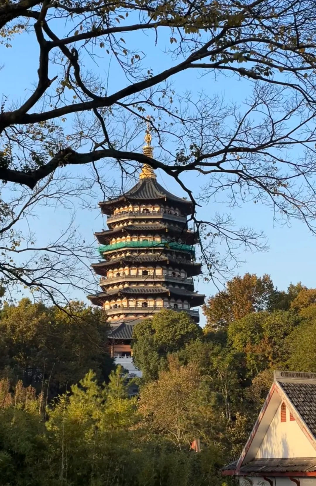 2025 Suzhou and Hangzhou Dragon Dream 6-day 5-night in-depth boutique tour
