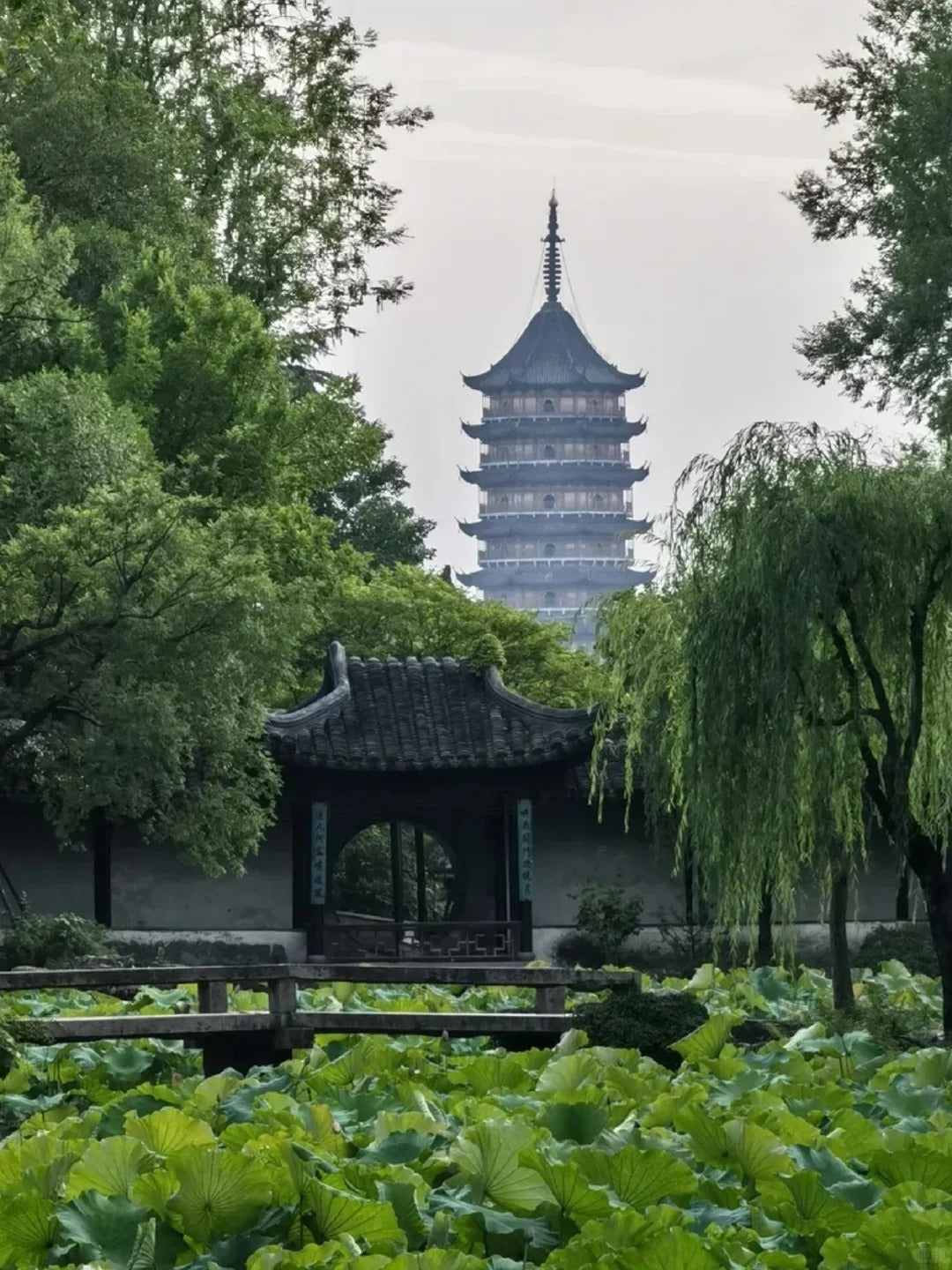 What to Pack for China: 12 Essential Travel Items You Might Forget