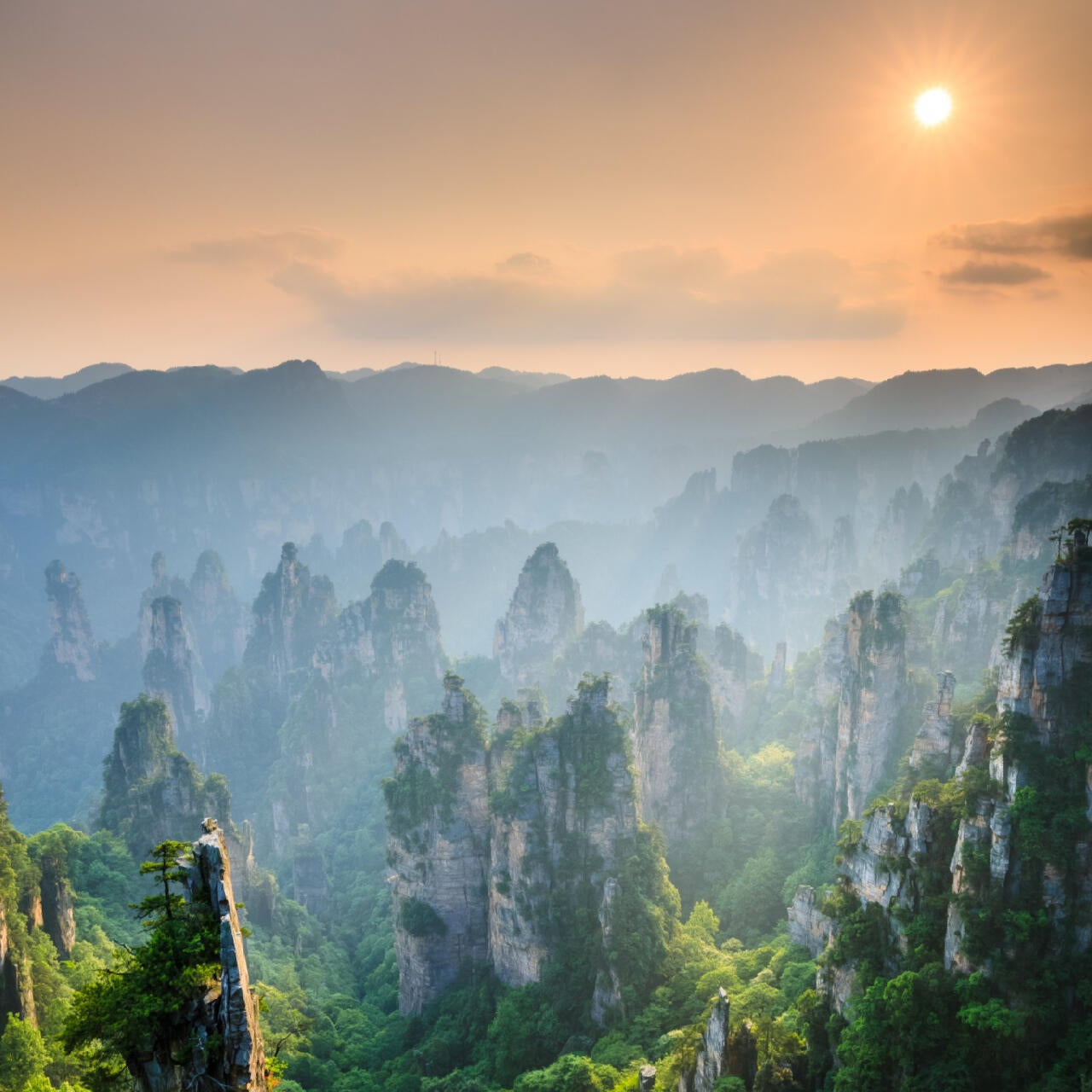 11-Day Classic Journey Through Shanghai, Zhangjiajie, Xian & Beijing