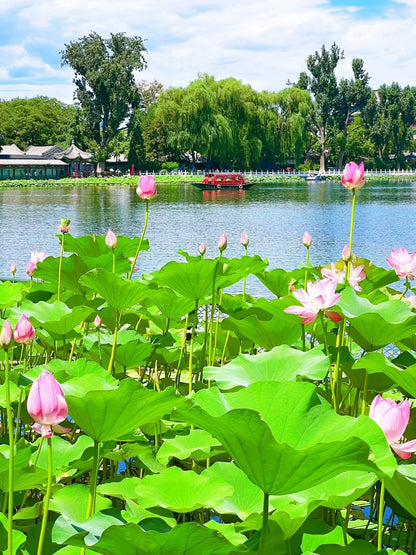 7 DAYS 5 NIGHTS BEIJING + GUBEI WATER TOWN